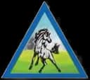 Yes Horses Live