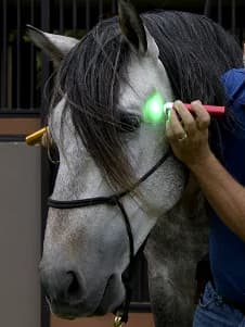 Photonic therapy